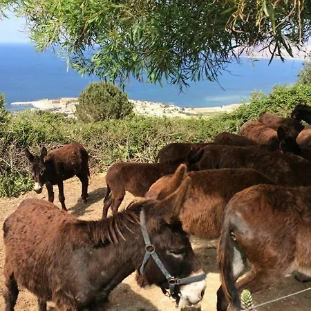 Sul Golfo Di Bonagia Holiday home *